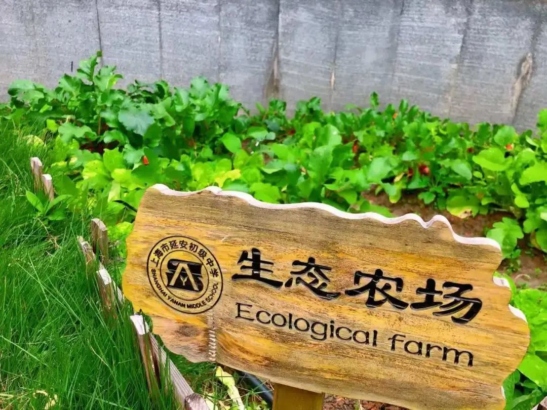 家庭教育丨齐家共成长每周推荐课程（第三十八期）(图1)